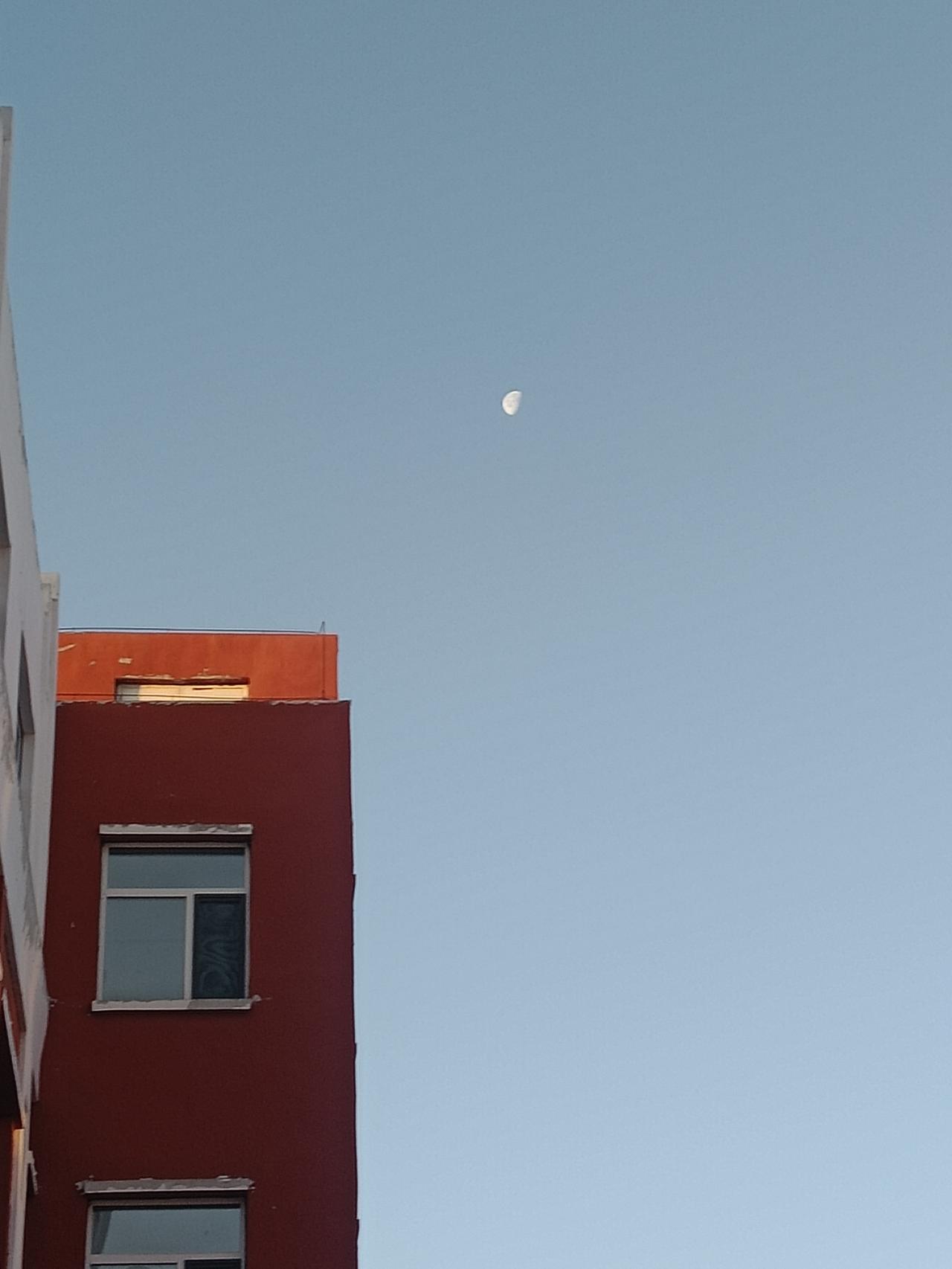 有用的东西要放在心里面才有用，晨不起，万事荒，幼不学，一生茫！能自律，