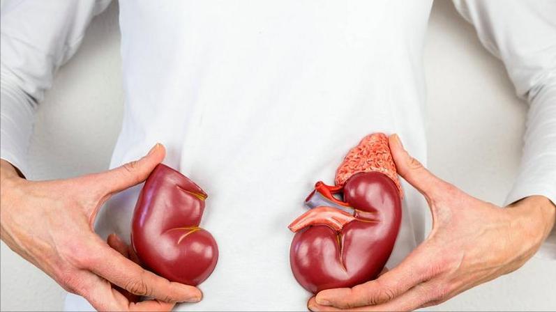 肾病患者好消息！尿常规这3项指标正常，病情基本不会再恶化了很多肾病患者最怕听