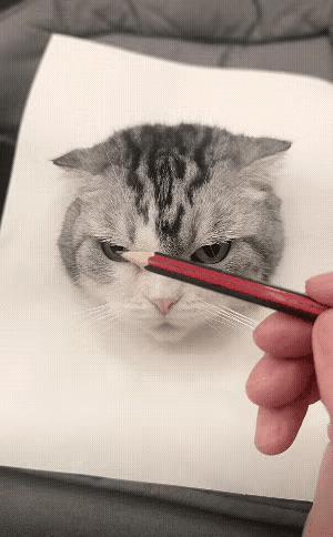 傍晚下班到家，高度近视的我，看到老公在一张白纸上画猫咪，那猫咪画的栩栩如生，和我
