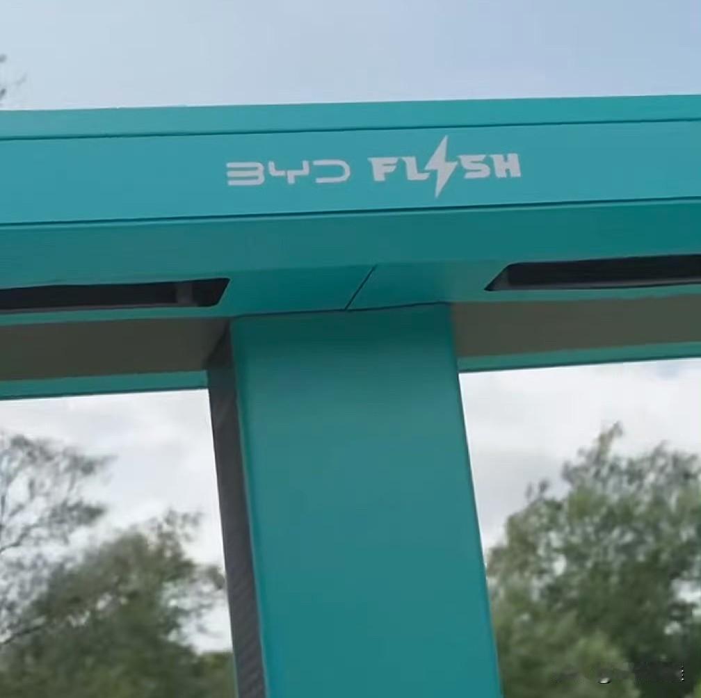 比亚迪闪充桩，为什么国内没有印比亚迪Logo，而国外却印了比亚迪Logo？这个