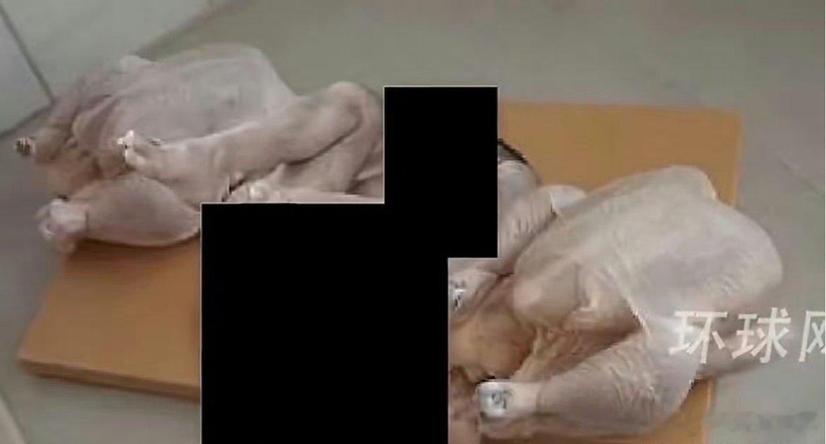 2月11日，萝莉岛常客盖茨在上海张江科学会堂演讲