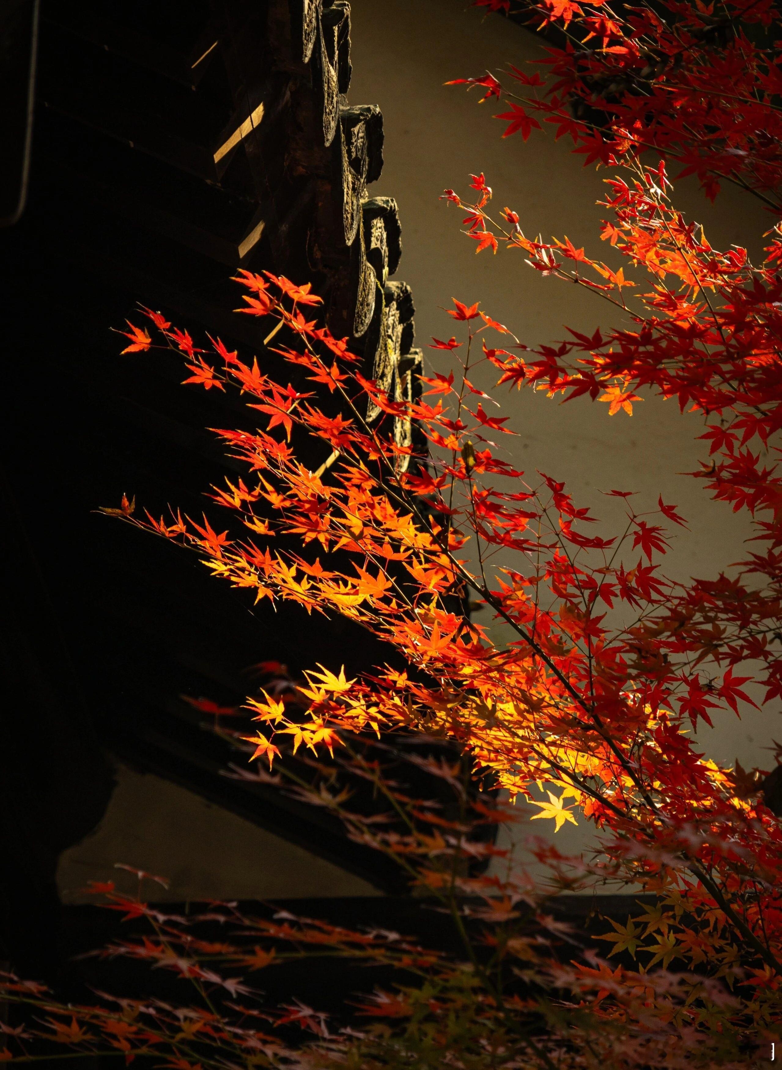 朝中的为官经历，让曾国藩学到了3件本领：一、在仕途上，没有人赏识和提携，很难获得