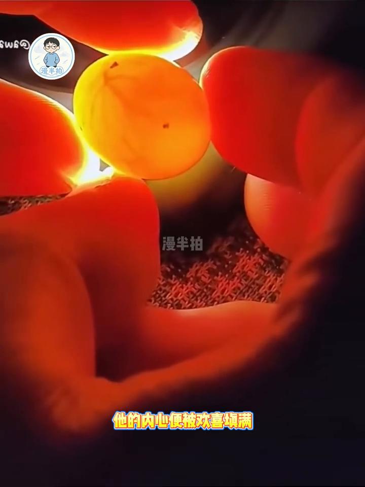 女友的宠物鹦鹉突然死亡，为了不被察觉，男子将全部注意力集中在仅剩的一枚鸟蛋上。没