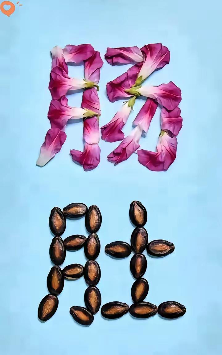 这成语怎么入手怎么猜真难