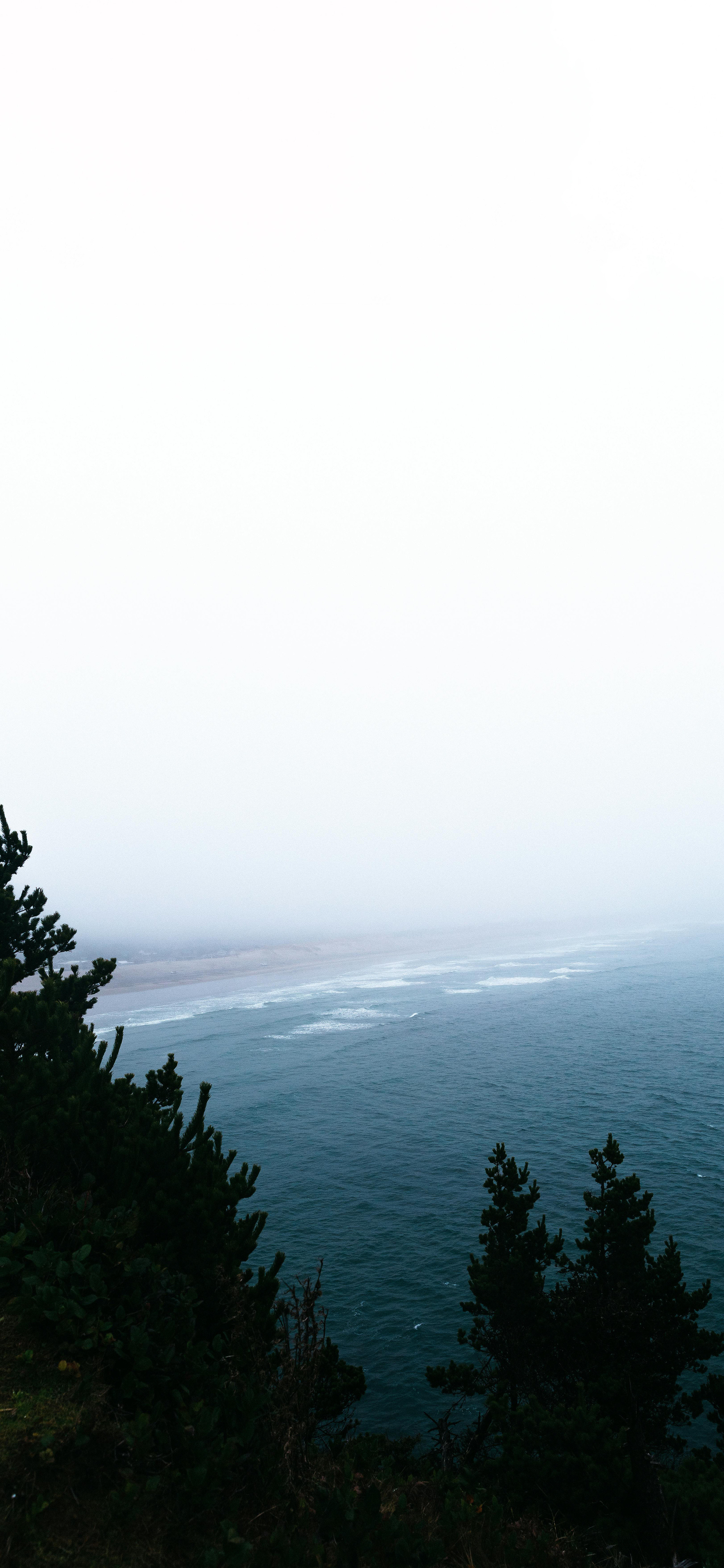 早上好，又是开心的一天。风景壁纸摄影