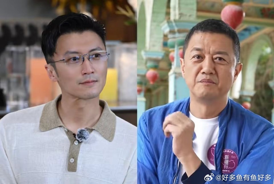 别急着拿王菲当尺子，李亚鹏和谢霆锋真正的差距，可能比你想的更扎心。​​我认为如果只看年轻时候，李亚鹏