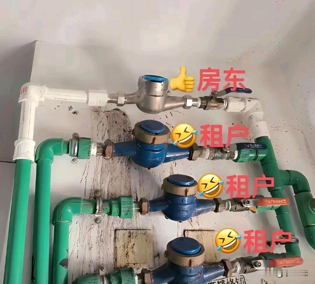 为什么房东是白色的