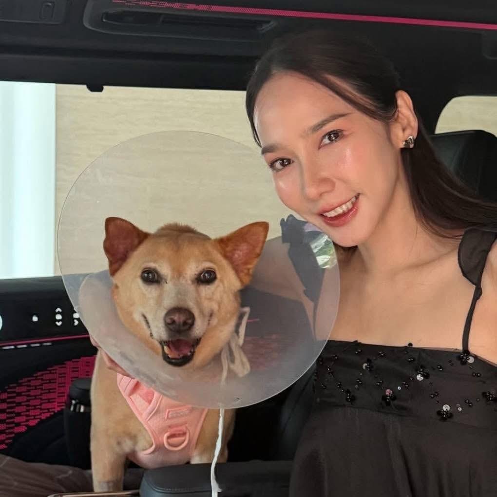 泰星aump爱犬离世那只爱离家出走、偷跑去逛7-11的小狗“Tua”最终还是走