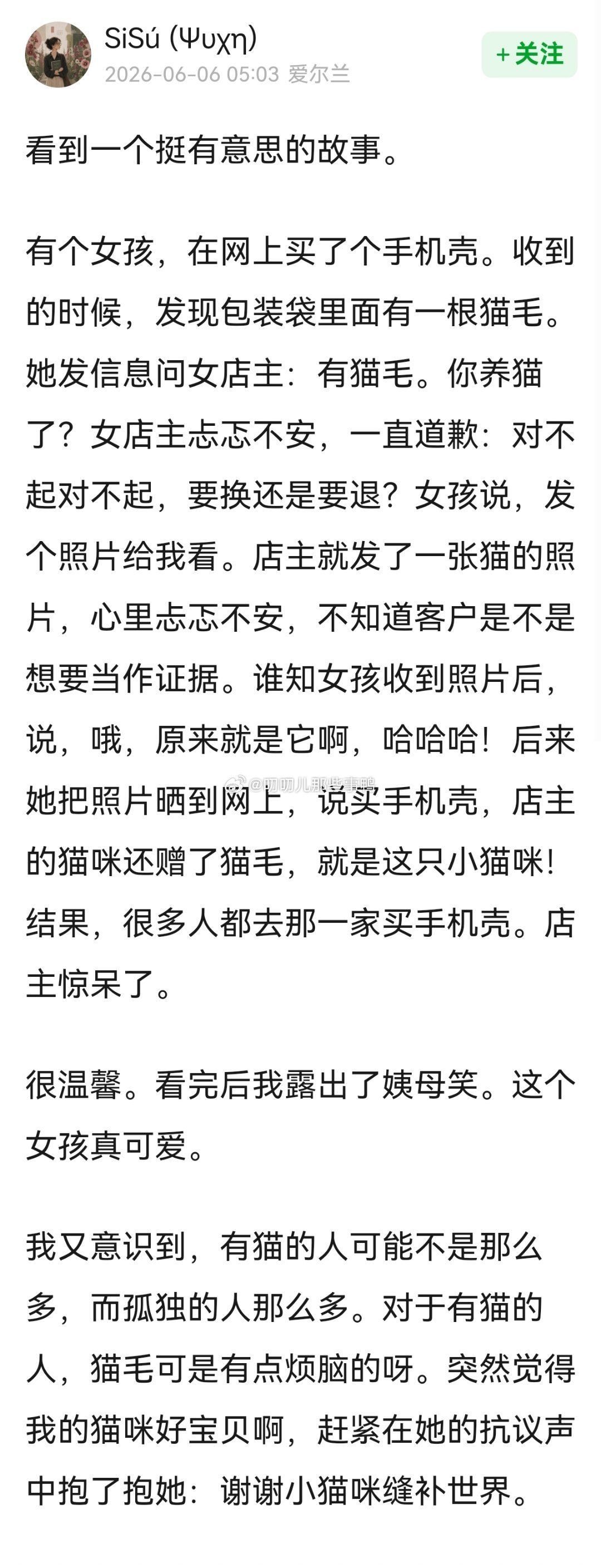 “有猫的人可能不是那么多，而孤独的人那么多”猫咪治愈世界～
