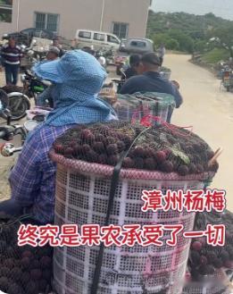 看到果农这条“求生”呼吁，心里真的挺不是滋味的。😔一方面，那些无良商贩用违禁