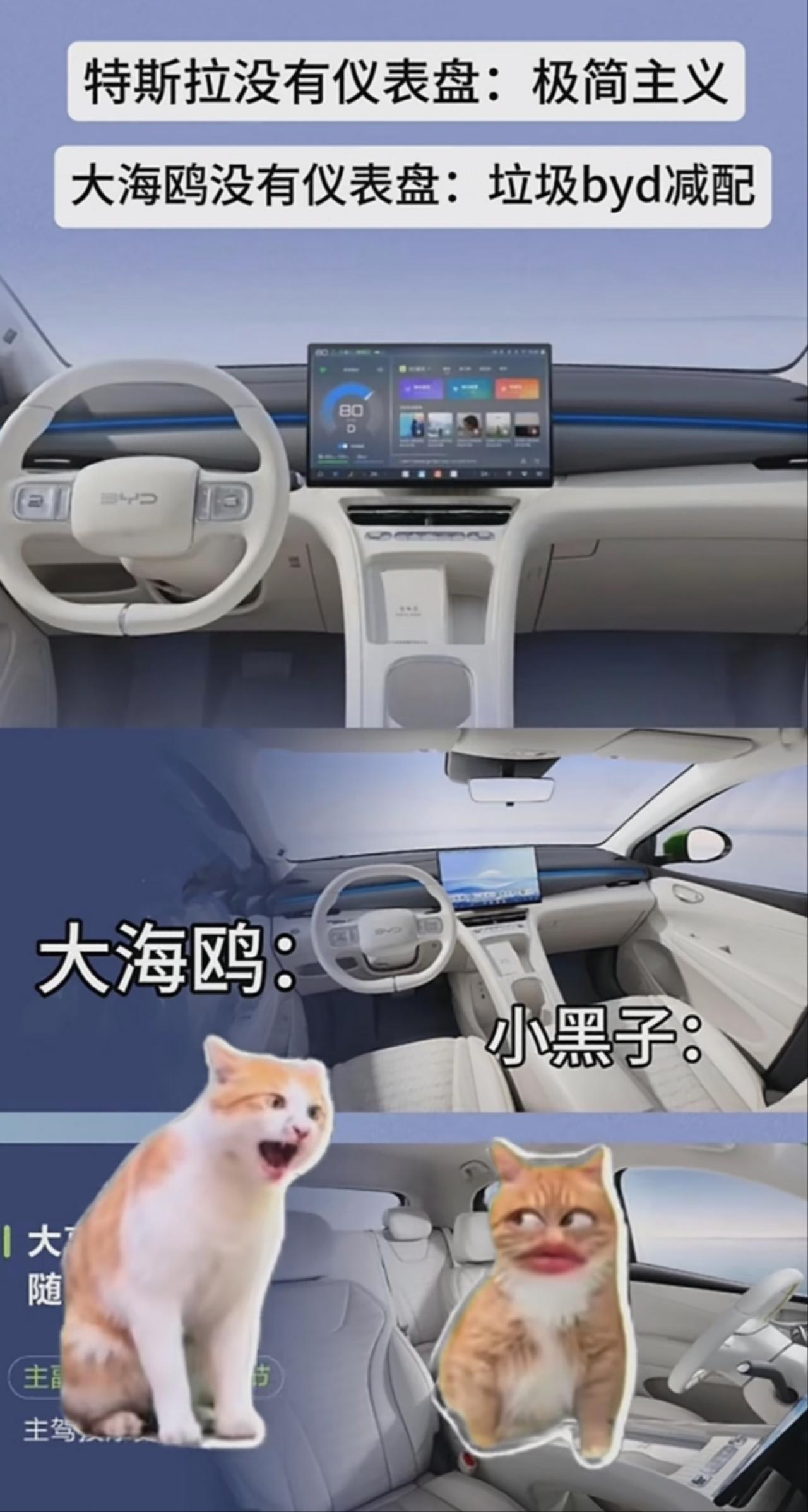 特斯拉取消仪表盘叫极简，海鸥就叫减配？说实话，我今儿看到海鸥取消仪表盘这事儿