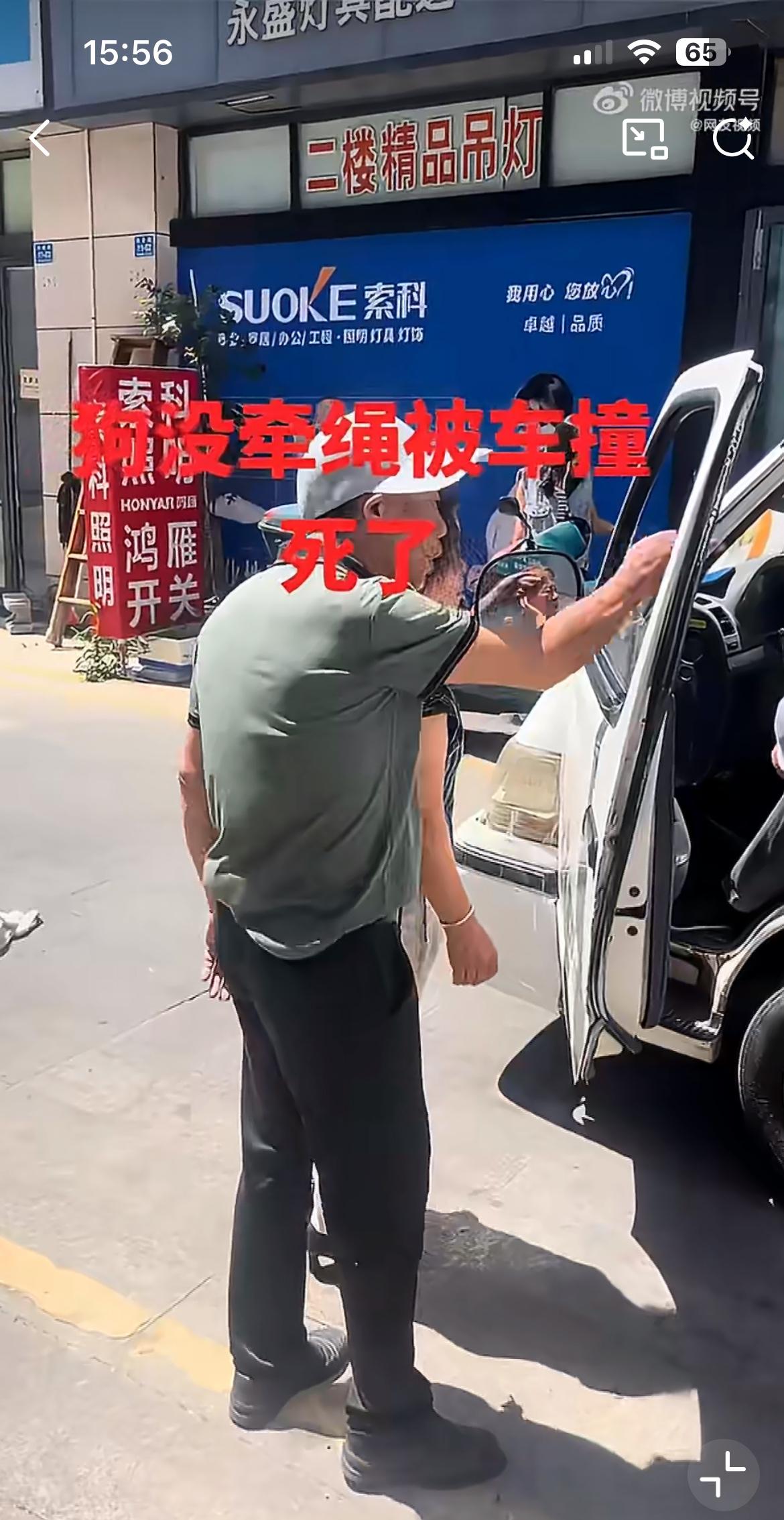 这对江苏夫妻遛狗不拴绳，导致乱窜的狗被经过的小货车给压死了。这对夫妻就像死了儿子
