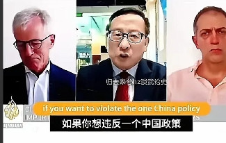 高志凯一句话点破小国困境立陶宛学者提出一个尖锐问题：究竟“欧洲的价值”是否优于