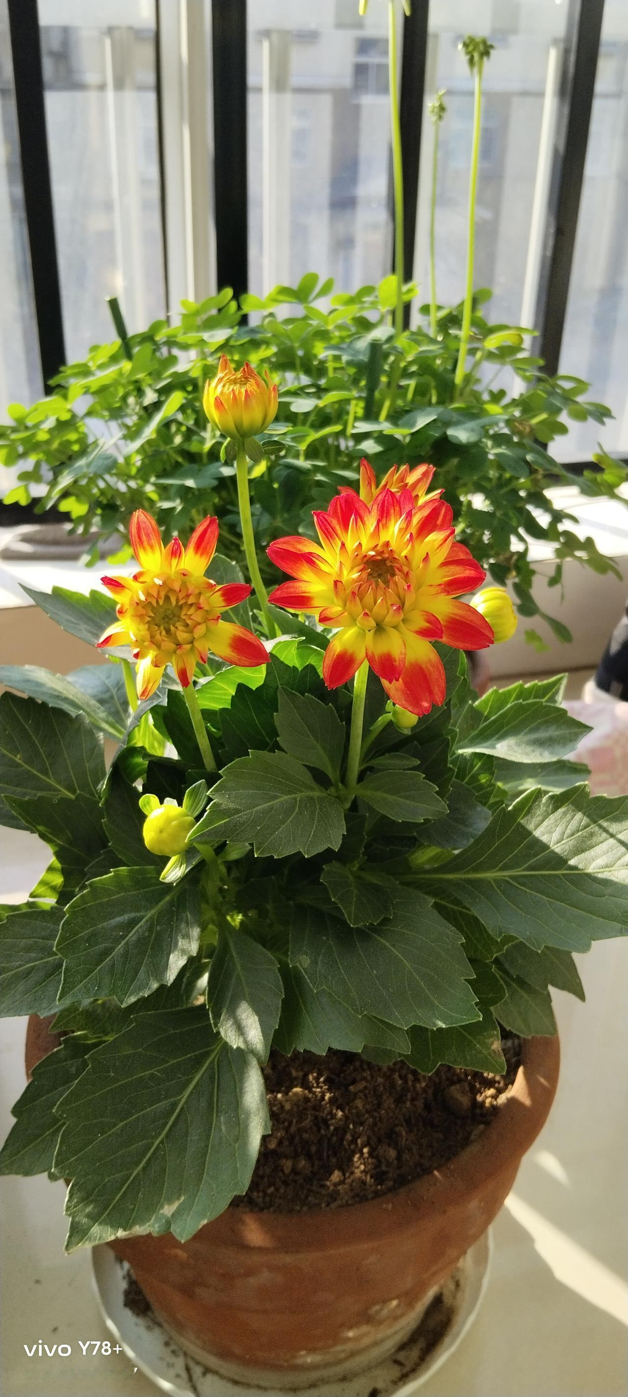 有个朋友的父亲，一个83岁的独居老人，前几天去世了。由于老人走的突然，连后事都