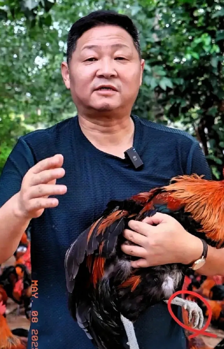 估计胖都来后悔死了！请谁不好，请了“三德子”赵亮，被网友查了个底朝天，他竟然