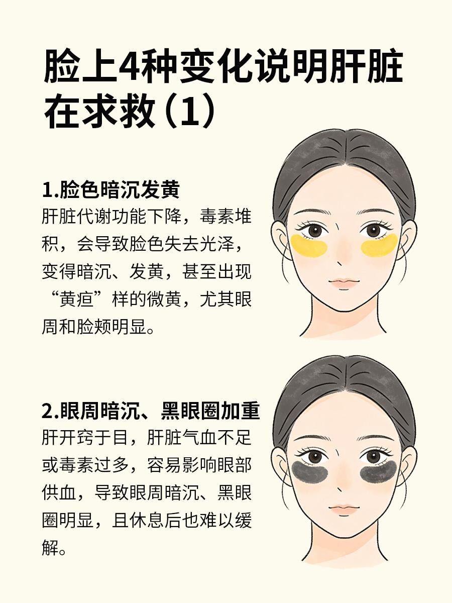 脸上出现这4种变化，肝在向你求救肝脏是人体重要的代谢器官，默默为身体“排毒”，