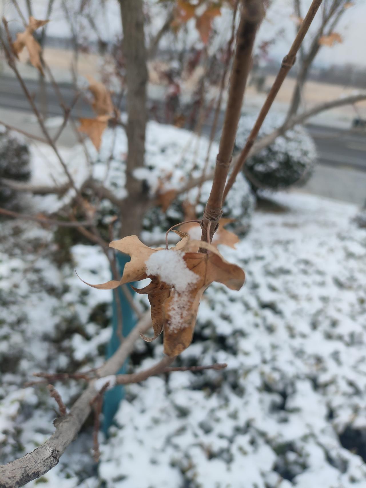 现在还卷孩子的，那真是想不开。985大学毕业都去送外卖了，你现在还逼着孩子费那