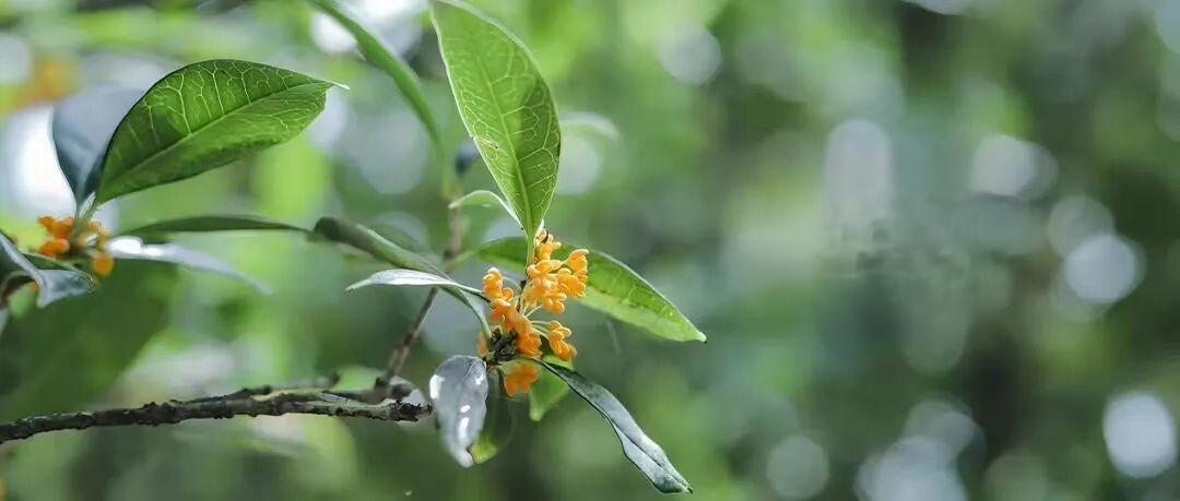 闺蜜说，中秋节时，她老公偷偷转给婆婆5000块钱，没告诉她，也没同她商量一下，