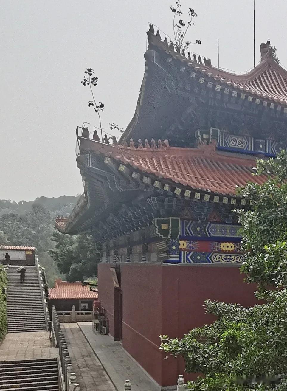 中元节，说说这几年的梦，和这种经历体验:1、你的事，她他们都知道梦里或高