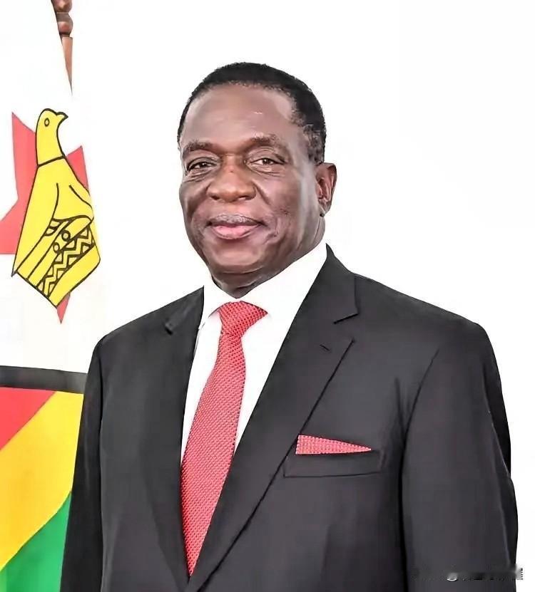 港口停了，锂矿封了，两边都急了。这事儿不是偶然，是实实在在卡住了供应链的两个要