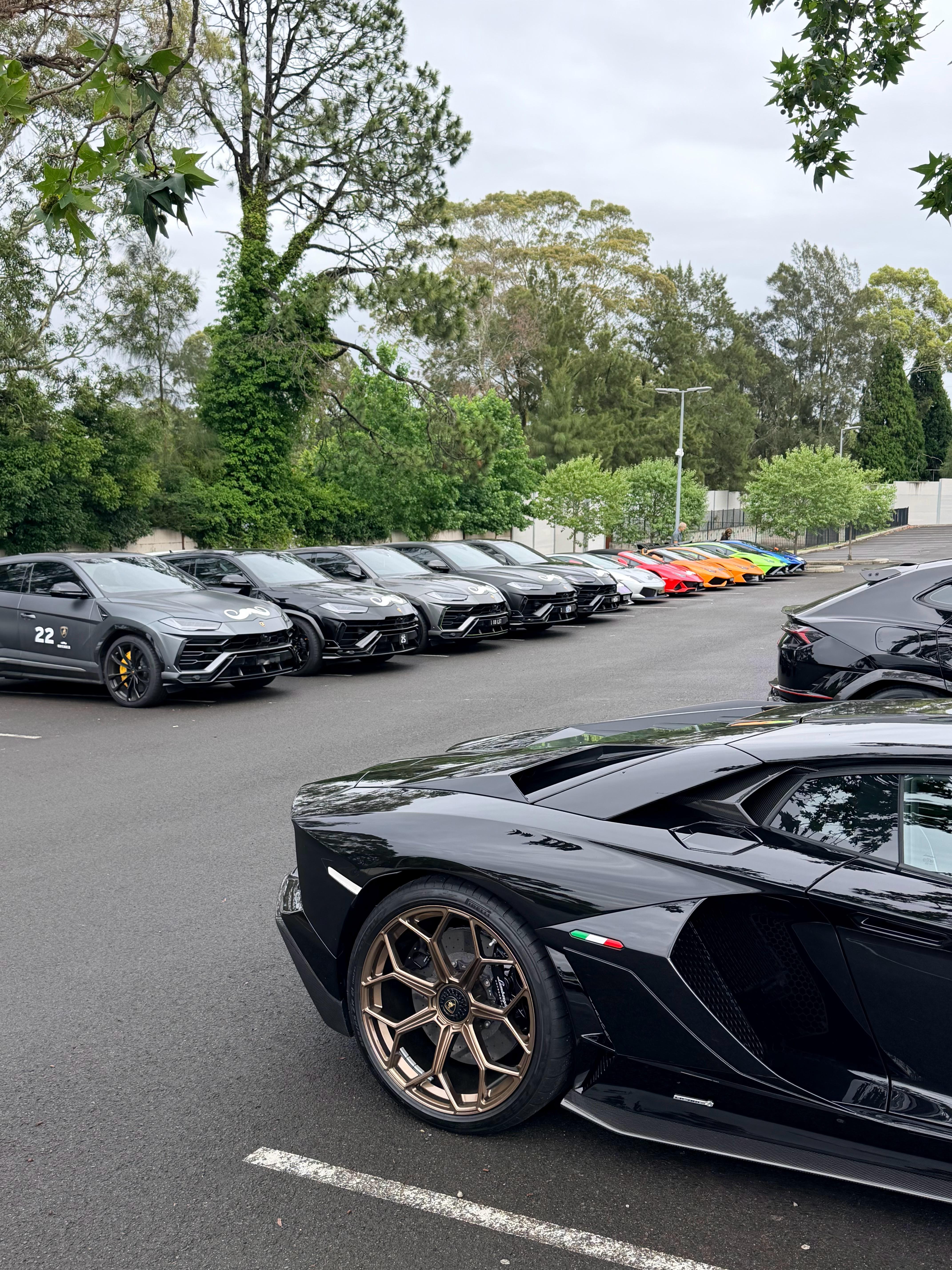 又是大早上5点爬起来拍摄..