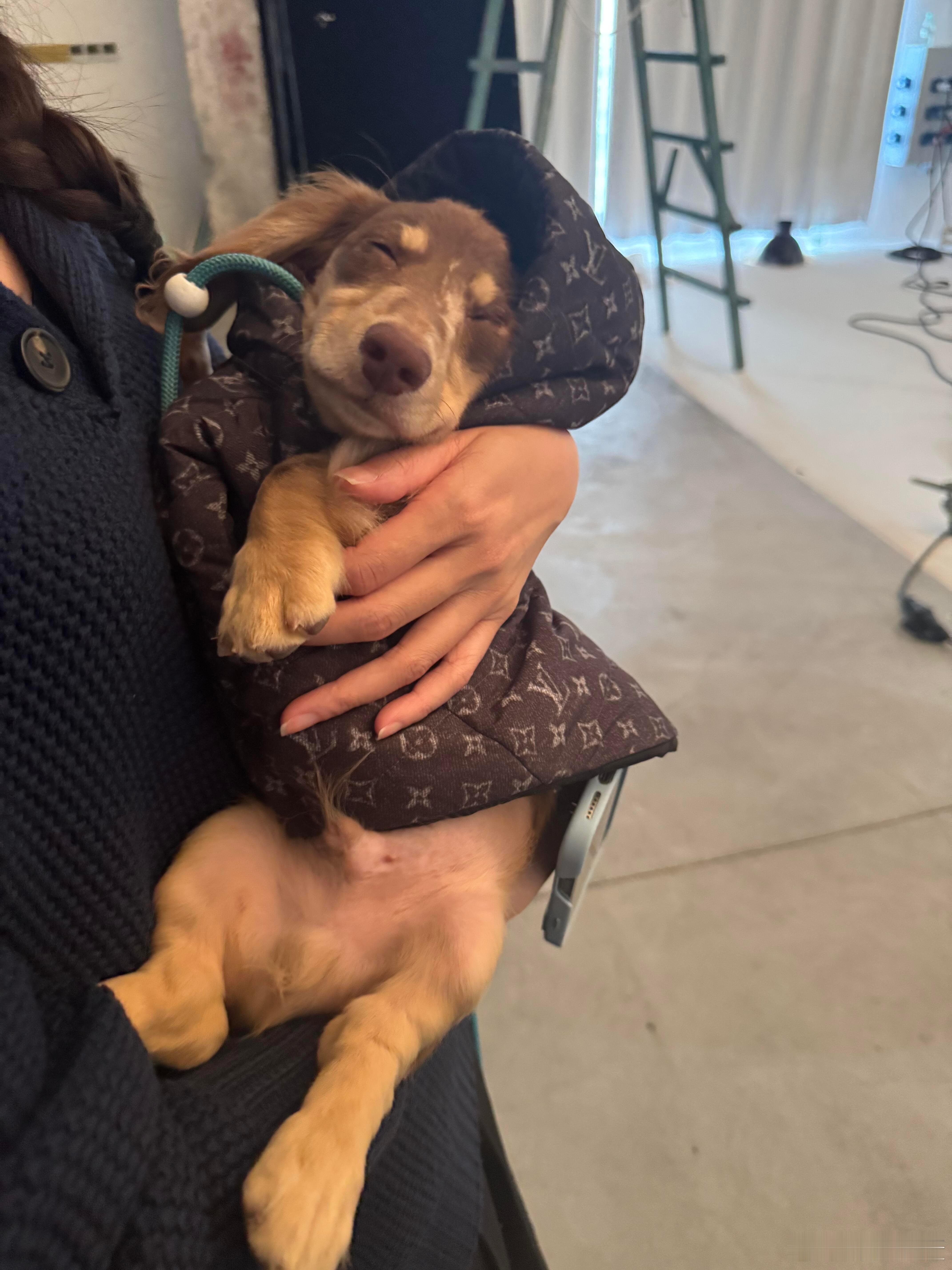 和卢昱晓亲亲又抱抱🙈谁的小狗狗这么幸福！卢昱晓｜