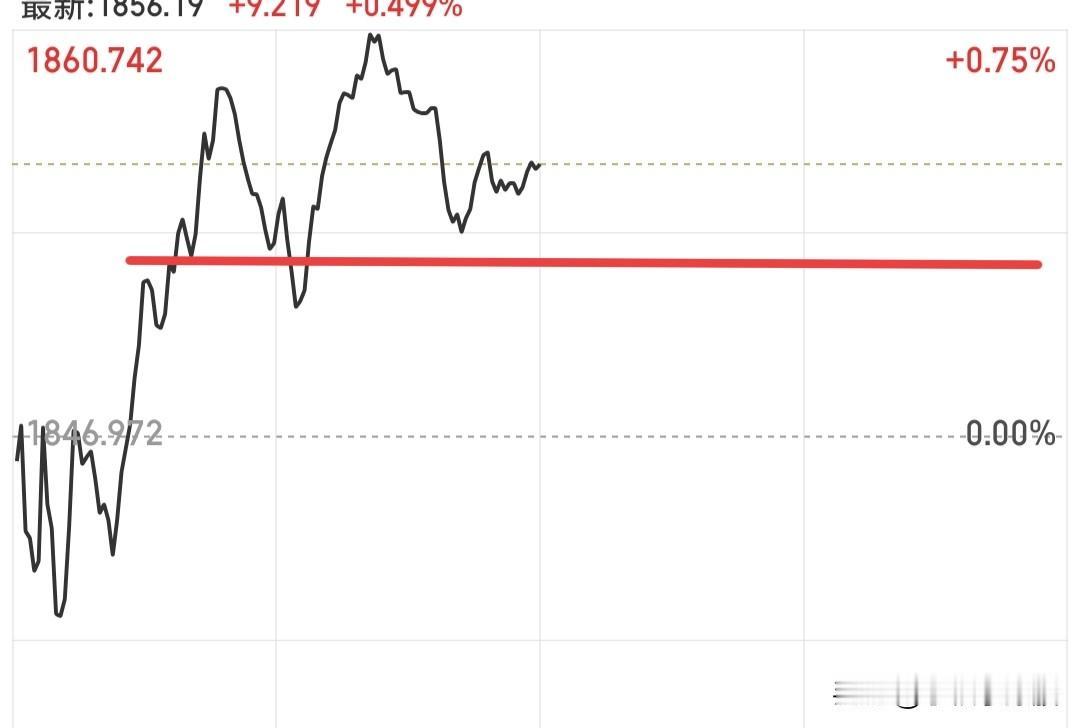 普涨对于我来说，是最轻松的，根本不用盯盘，下午就睡觉了，喝点鱼汤全身暖洋洋的，我