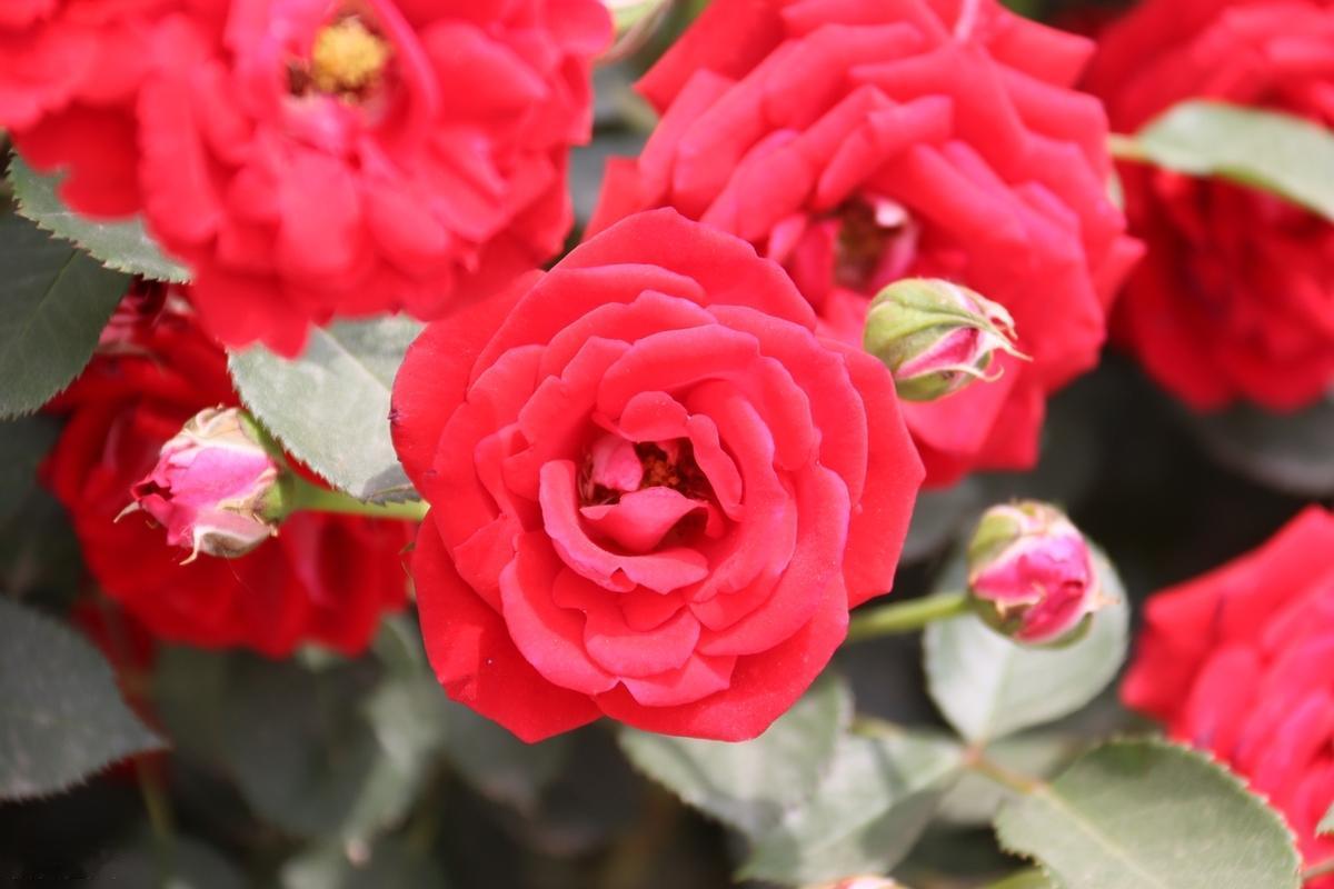 淡定看人生，宁静做自我。人生充满变数，定力如何，直接影响到人生的走向。所谓定力，