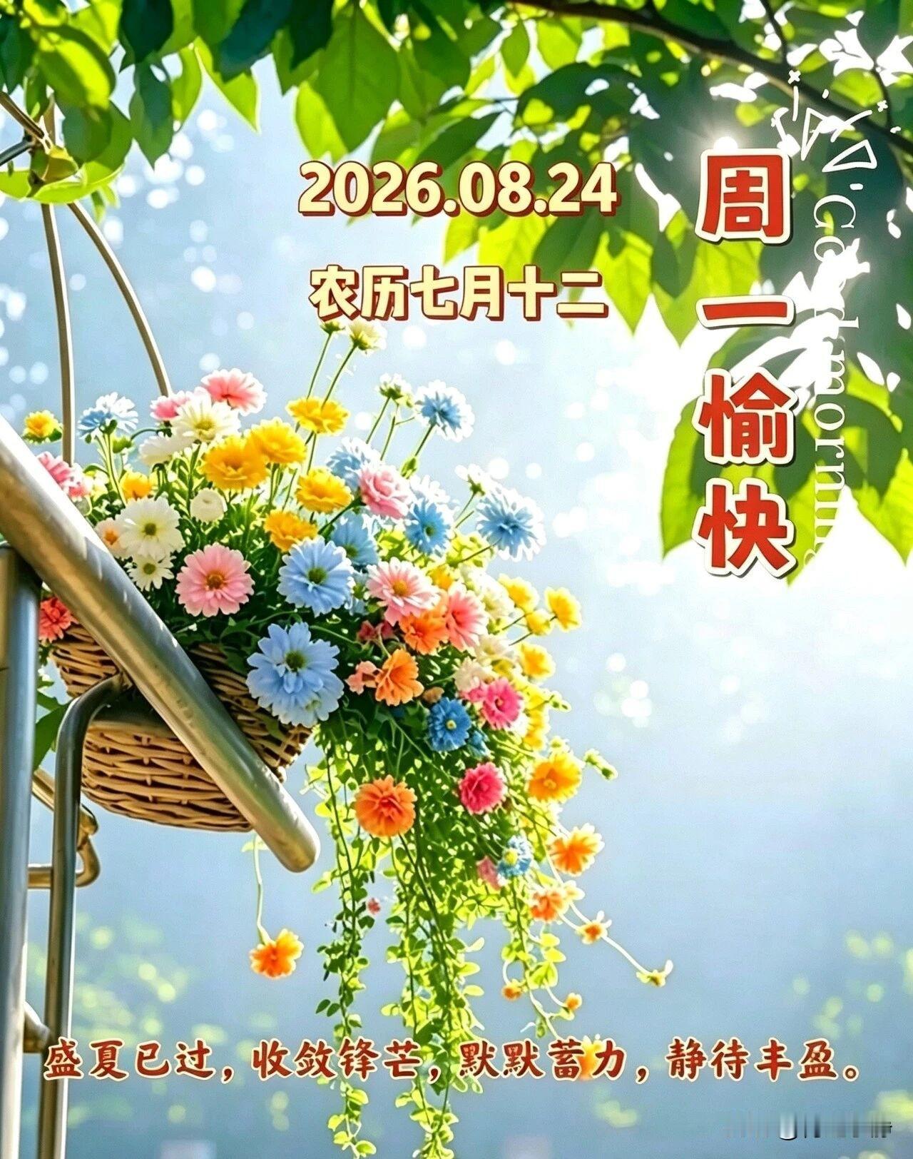 🍂²⁰²⁶/₀₈.₂₄ᵕ̈周一｜风染浅秋☕️🍒🍑🐎晨风吹散余暑，天光温