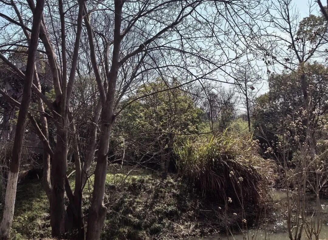 美德乐申购初步结果&国亮新材低于预期