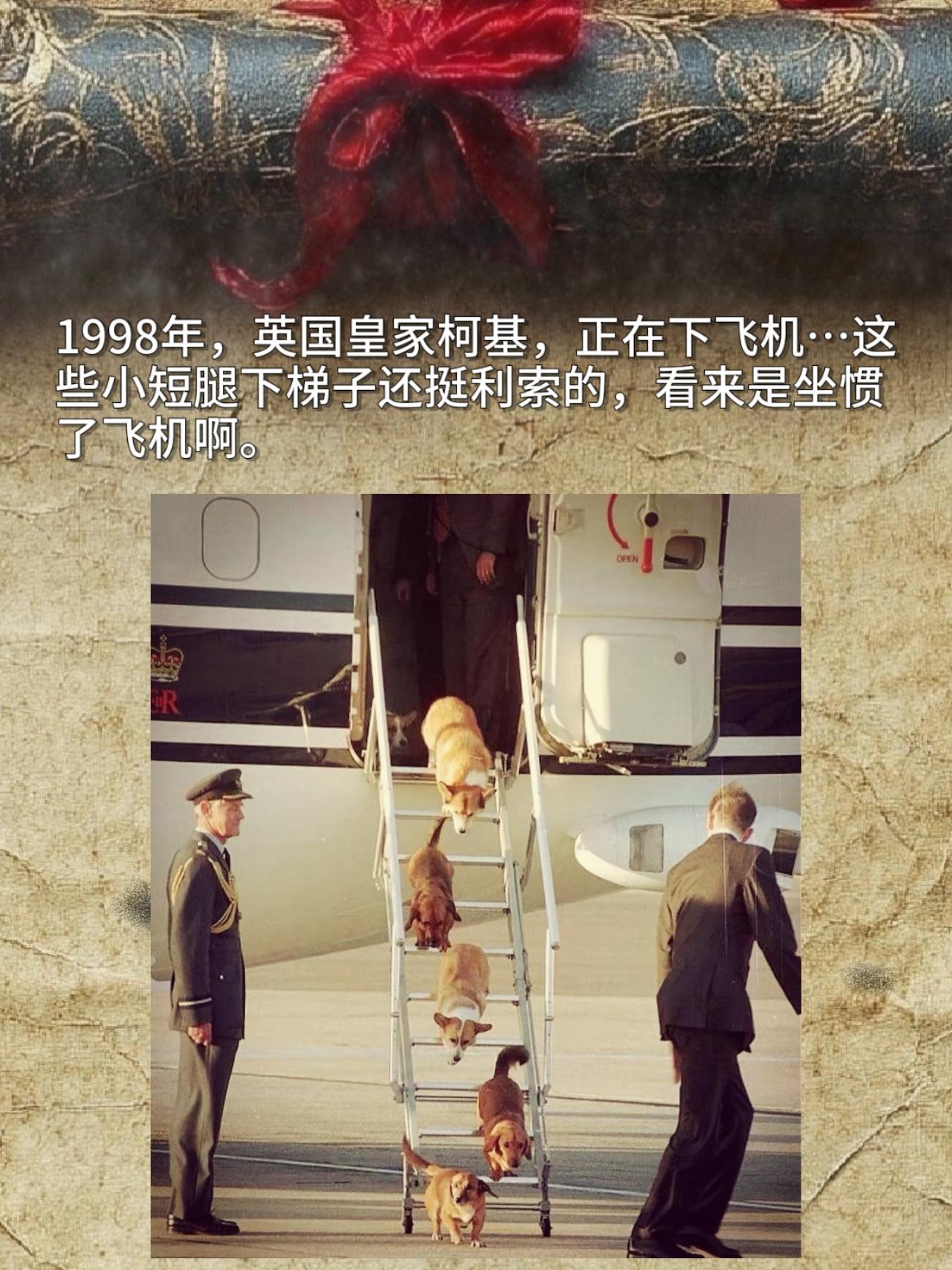 1998年，英国皇家柯基，正在下飞机…这些小短腿下梯子还挺利索的，看来...