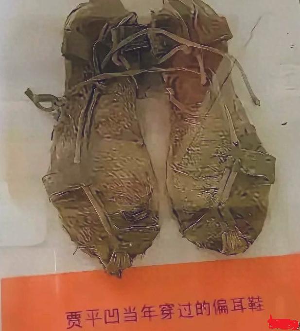 哈哈，当代大作家贾平凹的旧草鞋、旧帽子、旧烟斗等废品进了文学馆，还真是惹了大麻烦