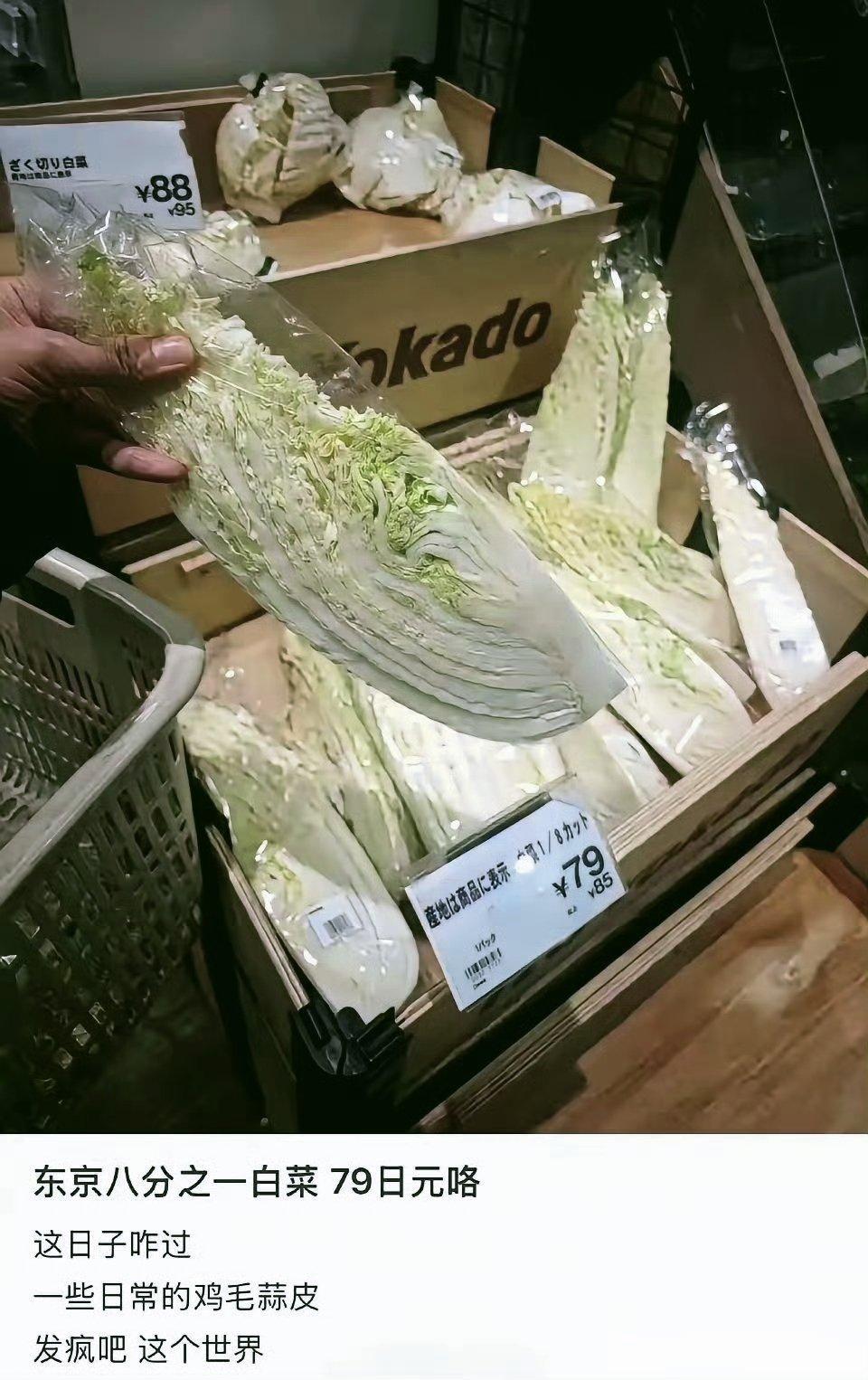 这八分之一棵白菜，喂兔子都不够啊。霓虹人不爱吃菜？