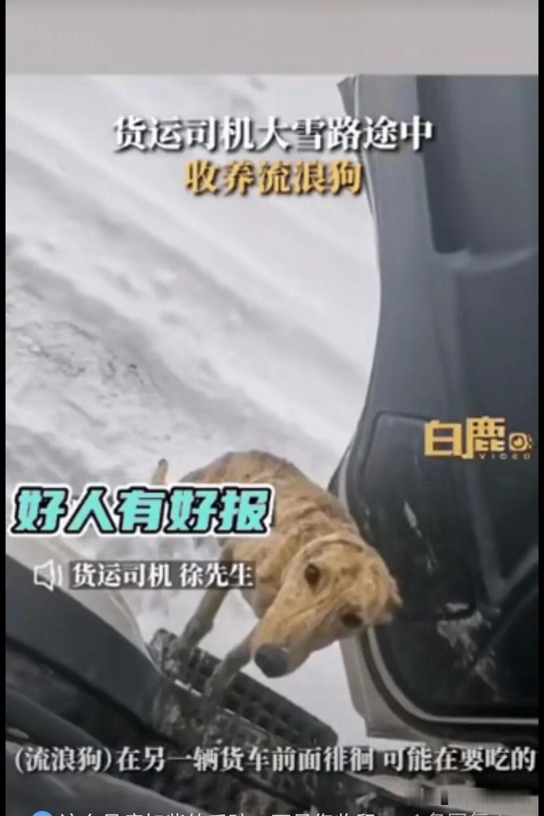 徐先生是个大货车司机，近日，在当天气温零下20°的锡林郭勒，他停车准备开门取