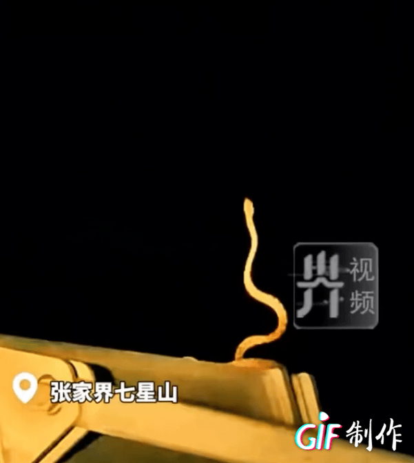 张家界彻底解释不清了！深夜，张家界七星山的索道巡检员在检修索道时发现“金蛇望月
