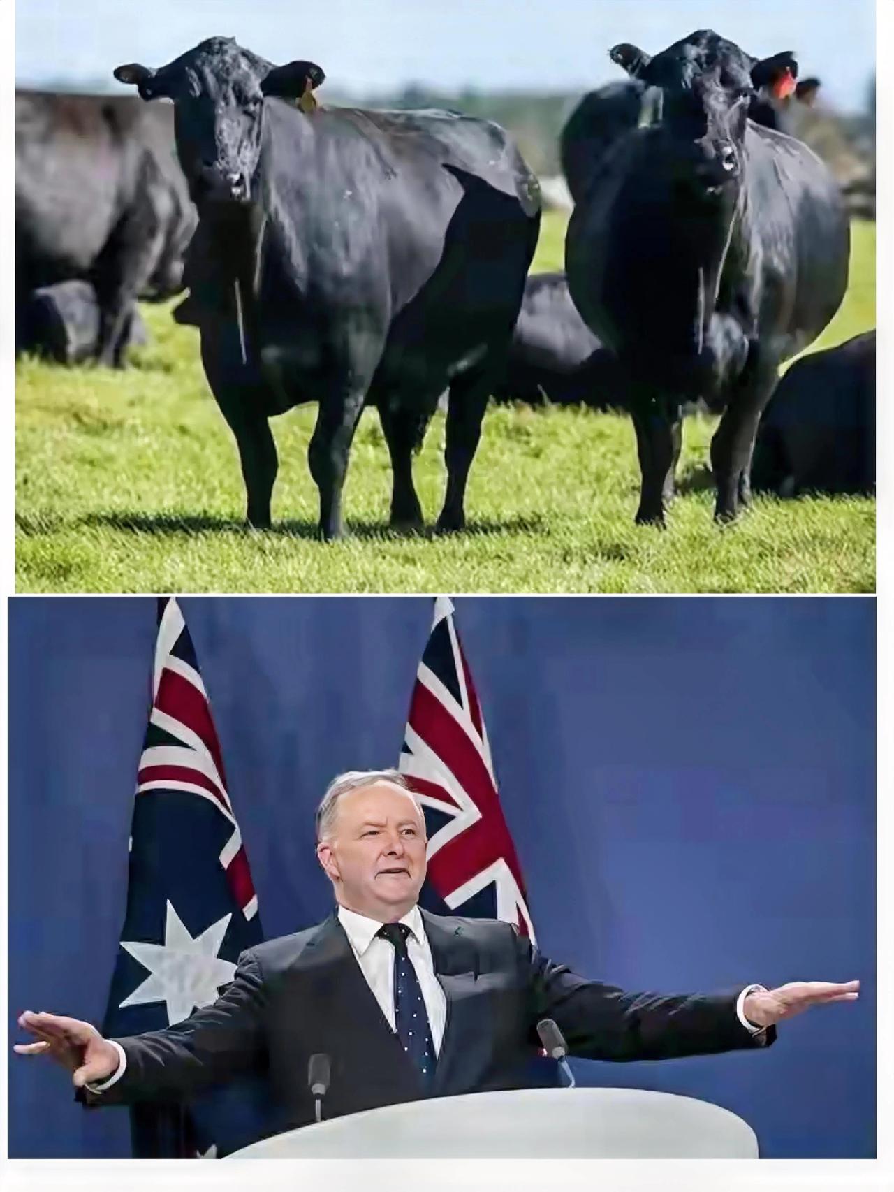 2025刚军演完就制裁！澳方这波操作真没必要解放军在自家地盘搞围台军演，