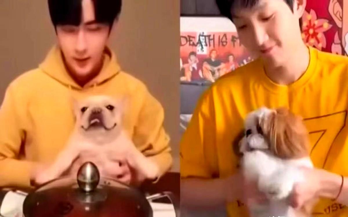 范小花照搬好友拍狗跳舞，小狗一脸抗拒！眼见朋友晒宠物圈粉，这位博主立马坐不住