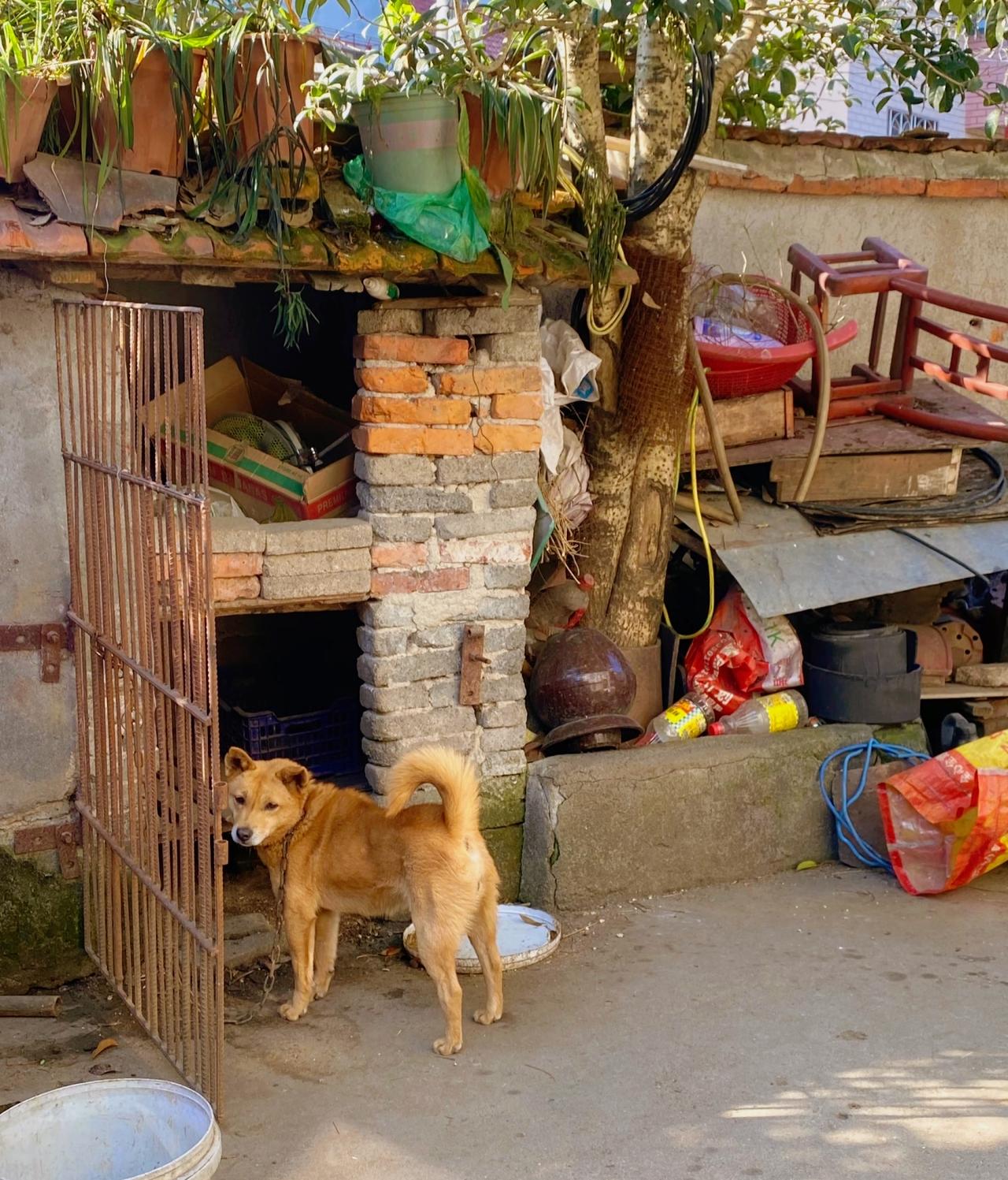 刘震云：）没有不出轨的中年夫妻，每一对中年夫妻都有情人。有出息的人，会拥有肉体