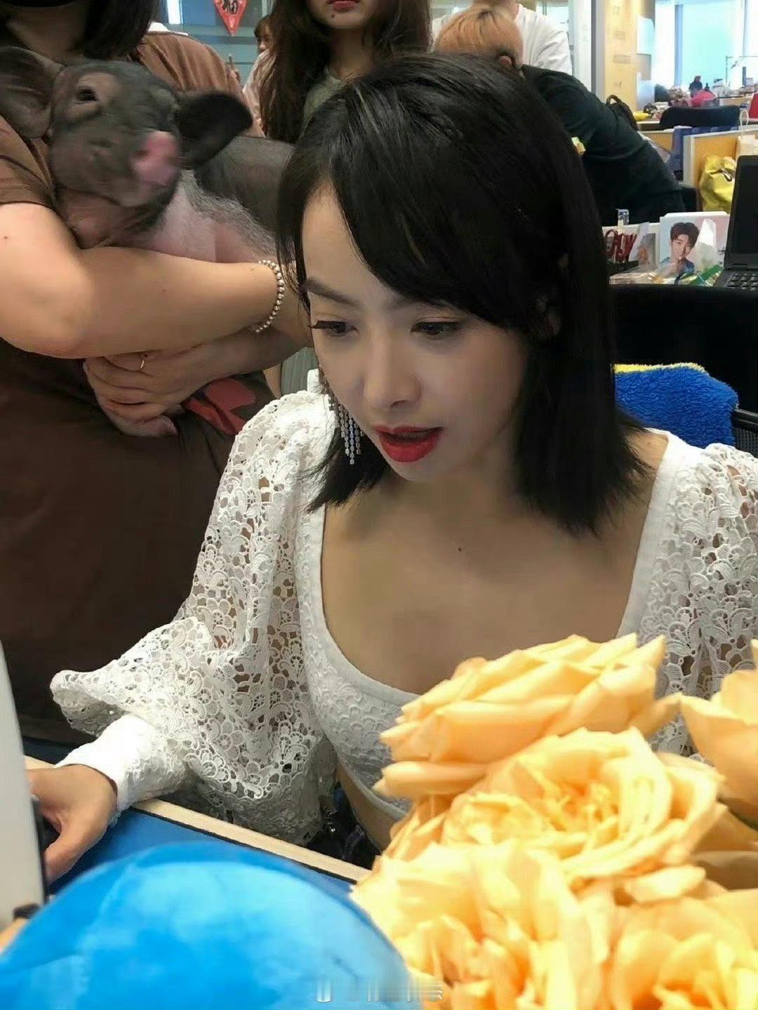 宋茜原来喜欢玩小猪