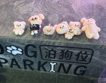 太有才华了，哈哈