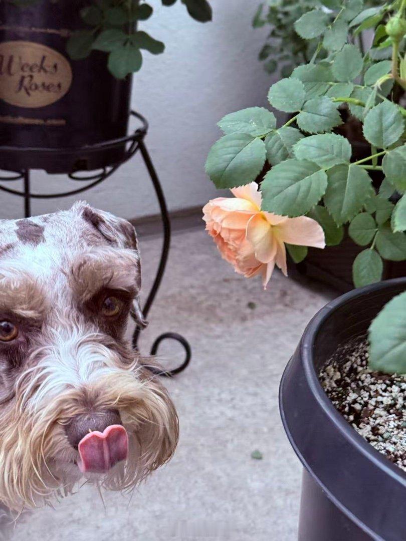 人云秀色可餐吾称与我何干乖妈摄影