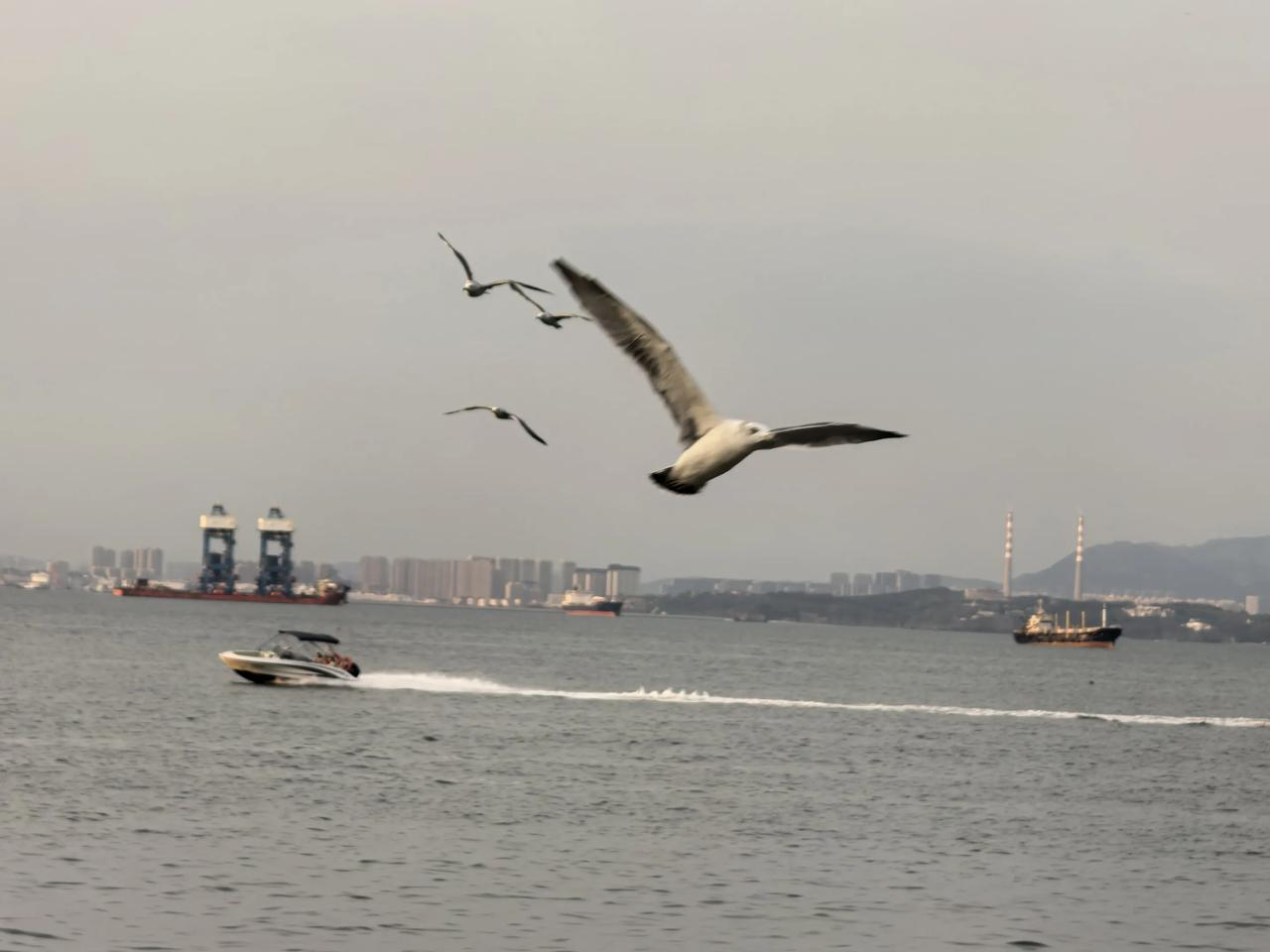 今天行程是坐车到盘锦，参观红海滩等景点，然后回沈阳。坐上大巴，司机师傅嘴就没