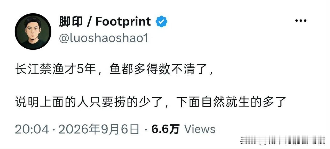 可以学学钓鱼佬，先打窝，十斤饵一斤鱼[doge]​​​