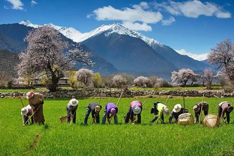 北京，男子58岁时入职一农场干保洁，在今年3月25号这天，已满60岁的他突然接到
