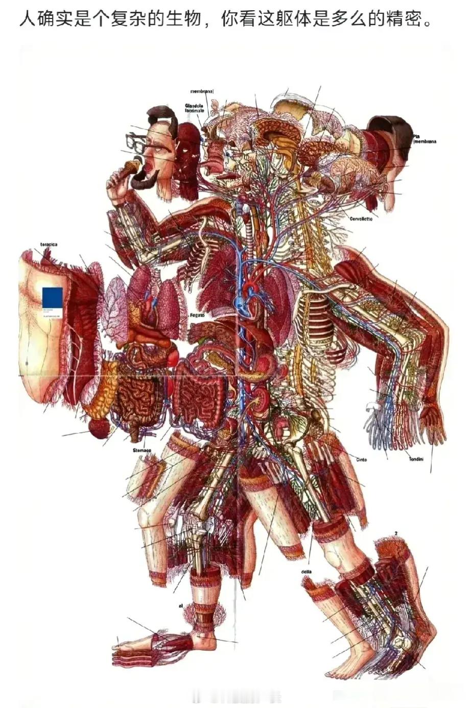 这么牛逼的身体，每个部位价值千金，合起来就成废物了