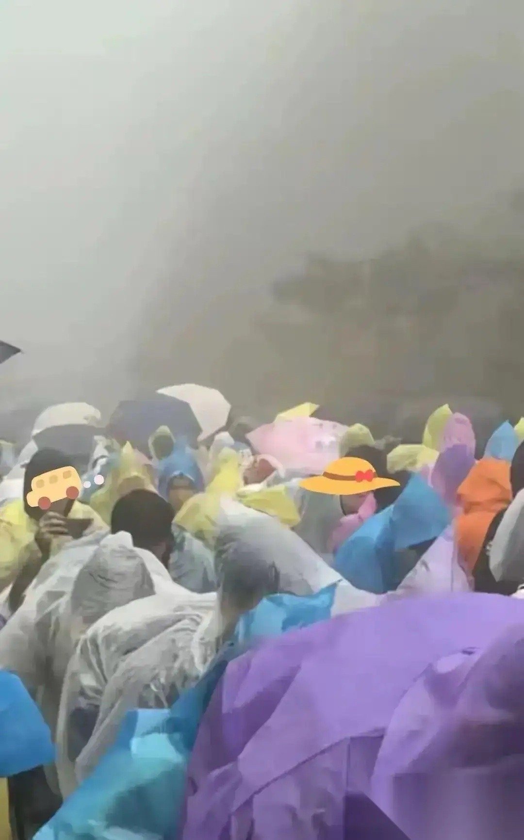 真搞不懂现在旅游的人，脑子到底咋想的。泰山下大暴雨，几万游客明知道气象局挂着蓝色