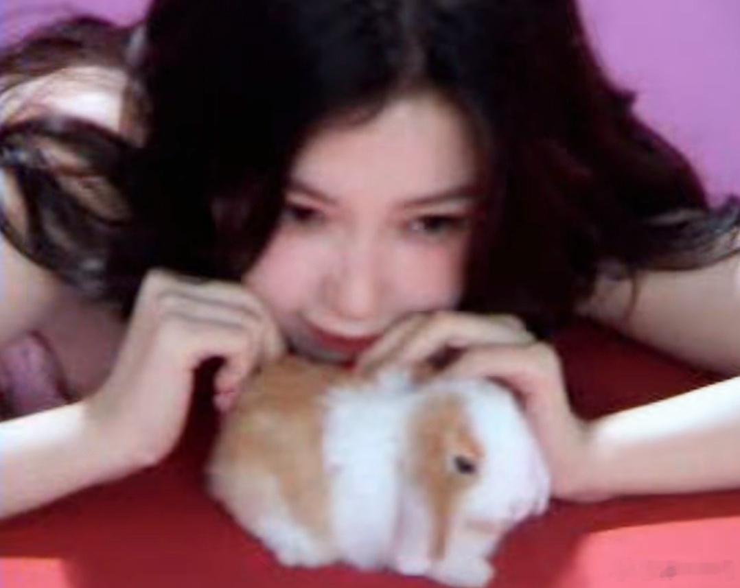 报告！这里有两个萌物