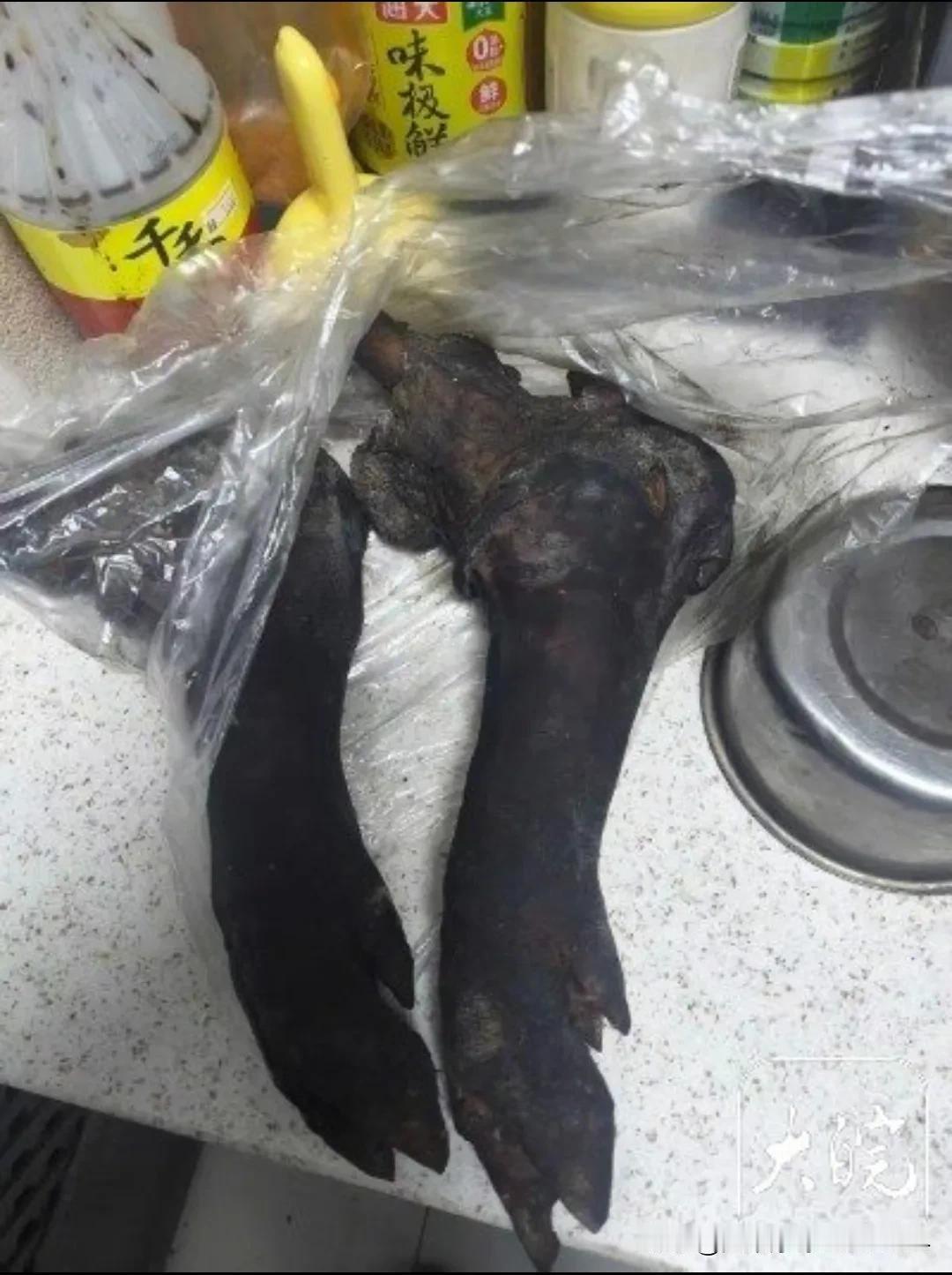 太不幸了！10岁男孩吃猪脚被卡喉后续来了，妈妈无比悲痛、至今都想不明白“就吃了一