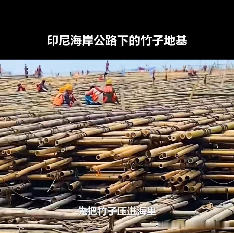 不怕竹子烂了，路塌了[？？？]