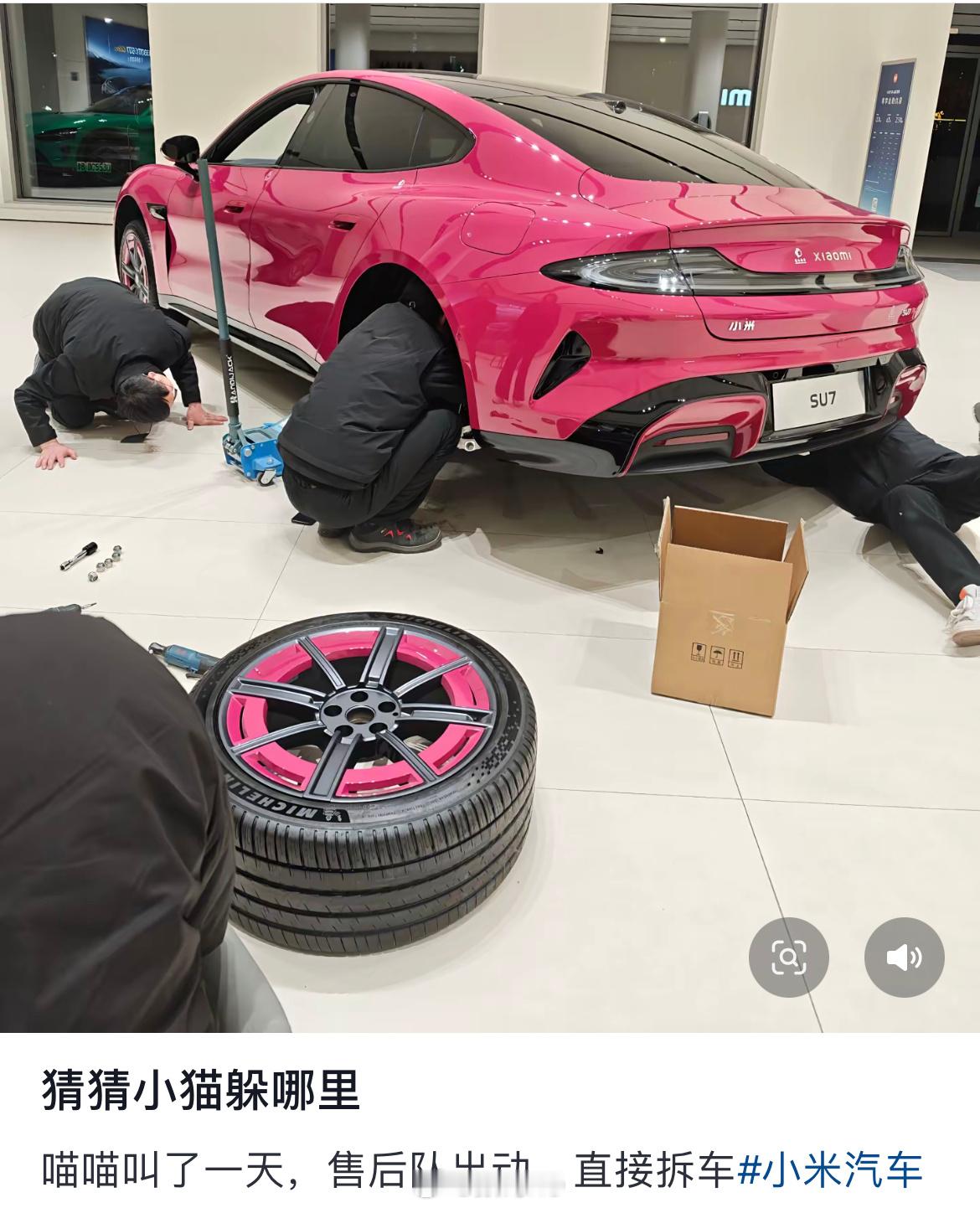 为了救小猫咪，直接把小米su7拆了，毕竟是小咪汽车，小咪之家